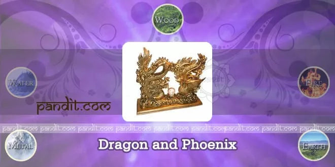 Dragon Phoeni
