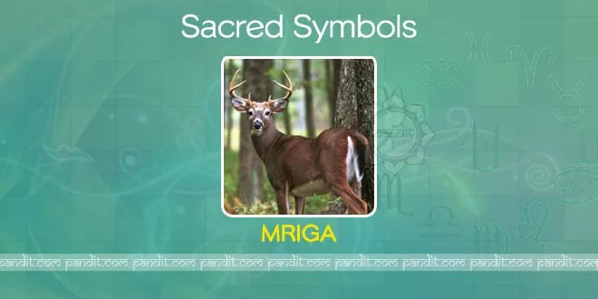 what is mriga