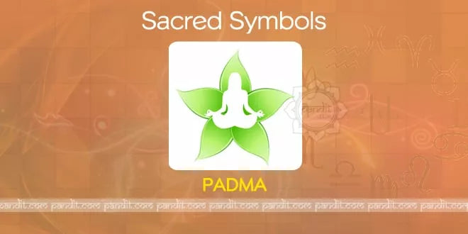 What is Padma ?