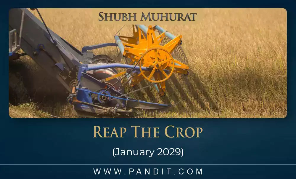 Shubh Muhurat For Reap The Crop January 2029
