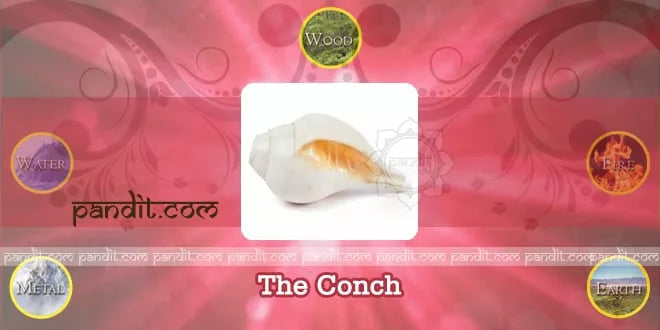 The Conch