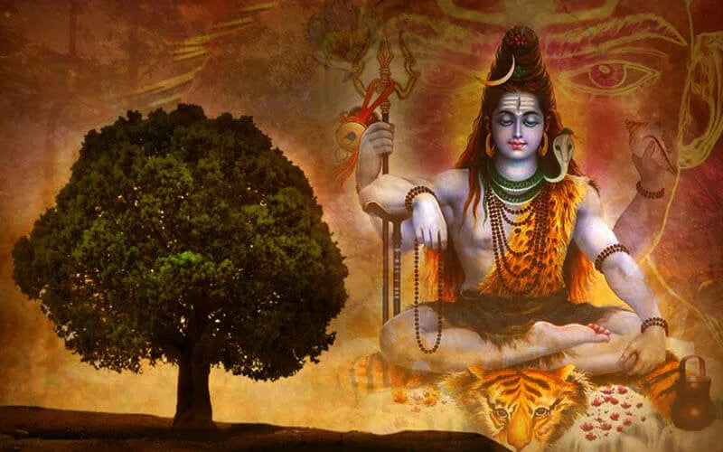 What Lord Shiva Says About Rudraksha