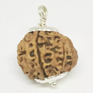 Ganesh Rudraksha - Nepal