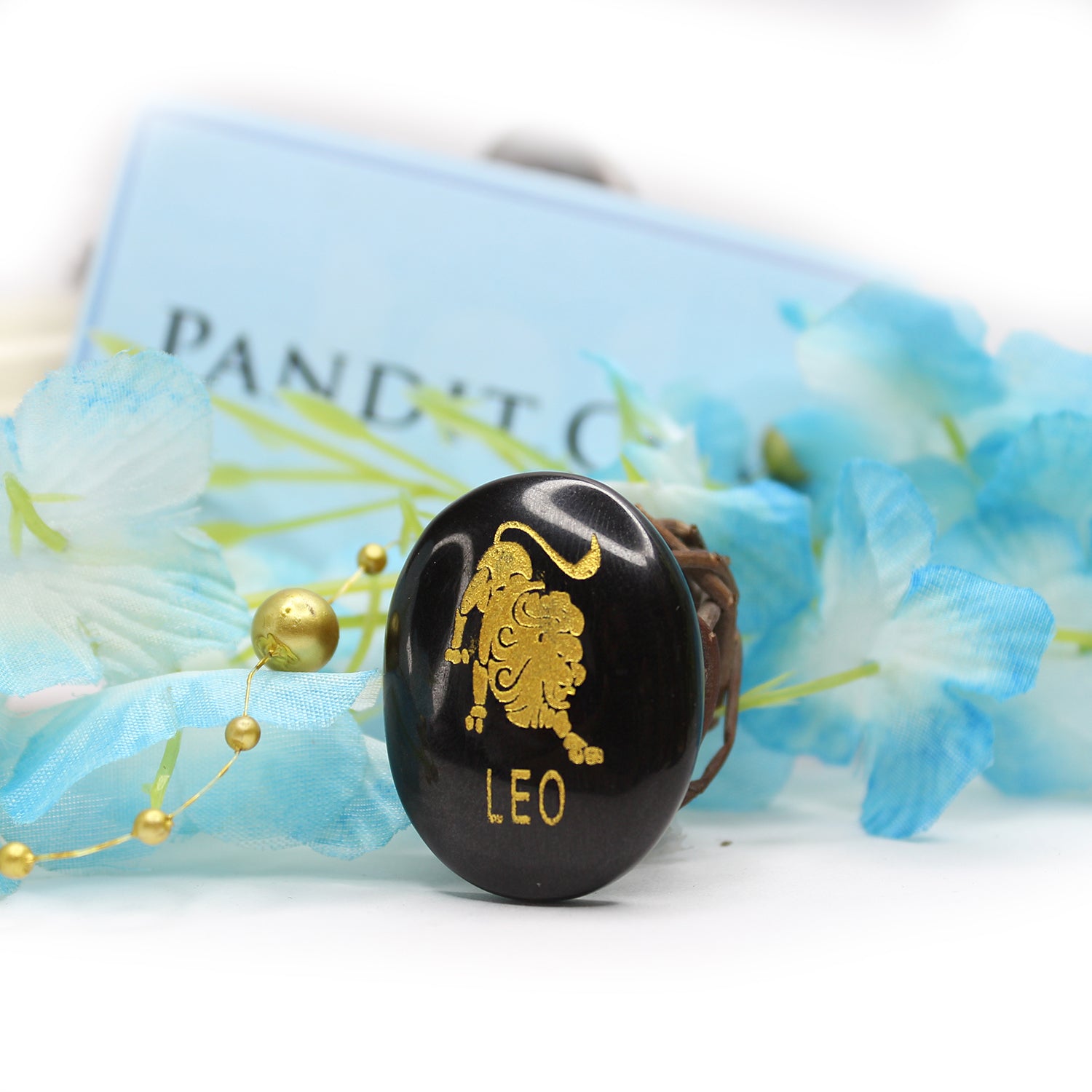 Leo Zodiac Sign Coin