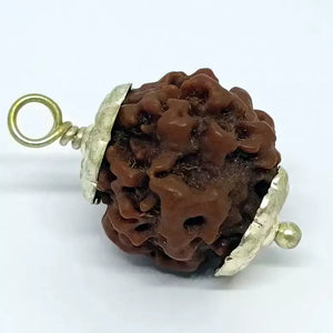 Nirakar Premium Rare Rudraksha