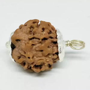 Nirakar Rudraksha - Nepal