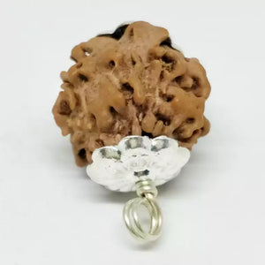 Nirakar Rudraksha - Nepal