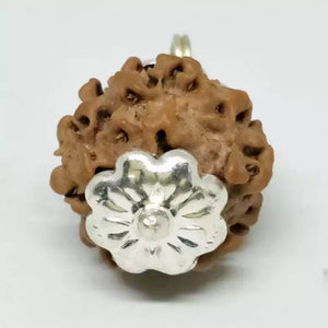 Nirakar Rudraksha - Nepal