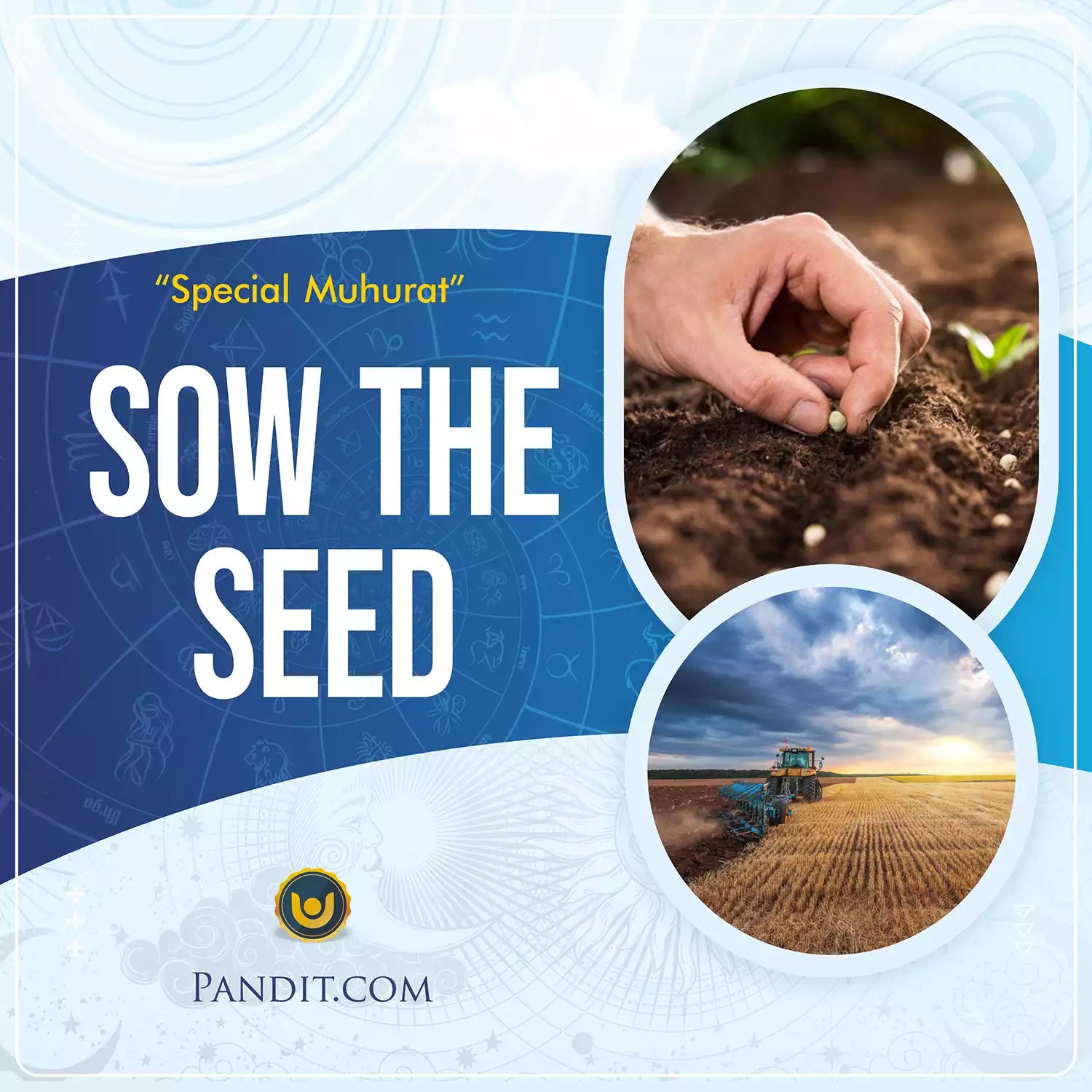 Sow The Seed